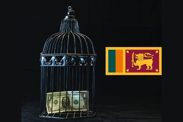 Explained: The Sri Lankan economic crisis