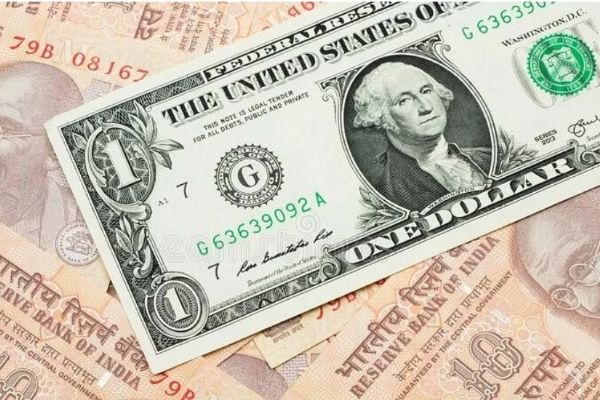 India's foreign exchange reserves decline to USD 590.702 billion