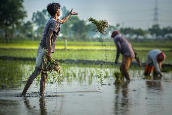 India's agrarian workforce – Reversing trends amidst the pandemic