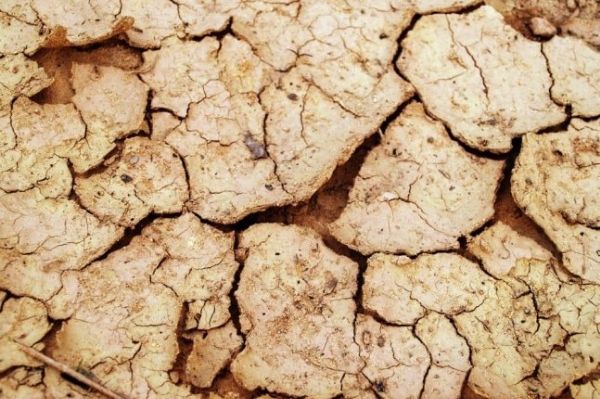 New study reveals alarming soil erosion trends across India